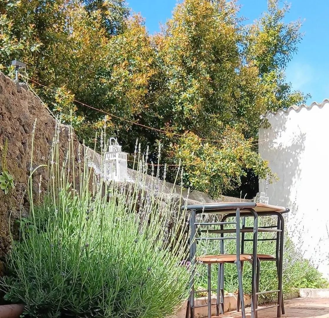 La Casa Di Betta Villa Sant'Agata Li Battiati